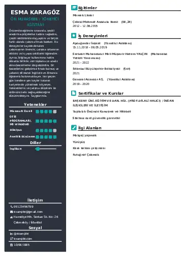 Yönetici Asistanı Cv Örnekleri cv indir